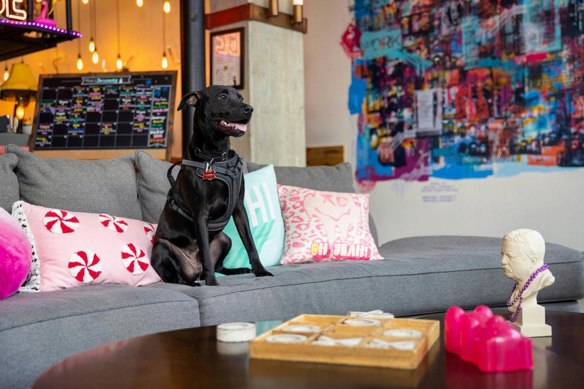 Moxy Washington, Dc Downtown Ξενοδοχείο Εξωτερικό φωτογραφία