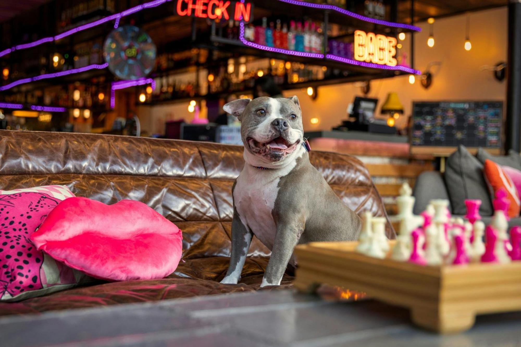 Moxy Washington, Dc Downtown Ξενοδοχείο Εξωτερικό φωτογραφία