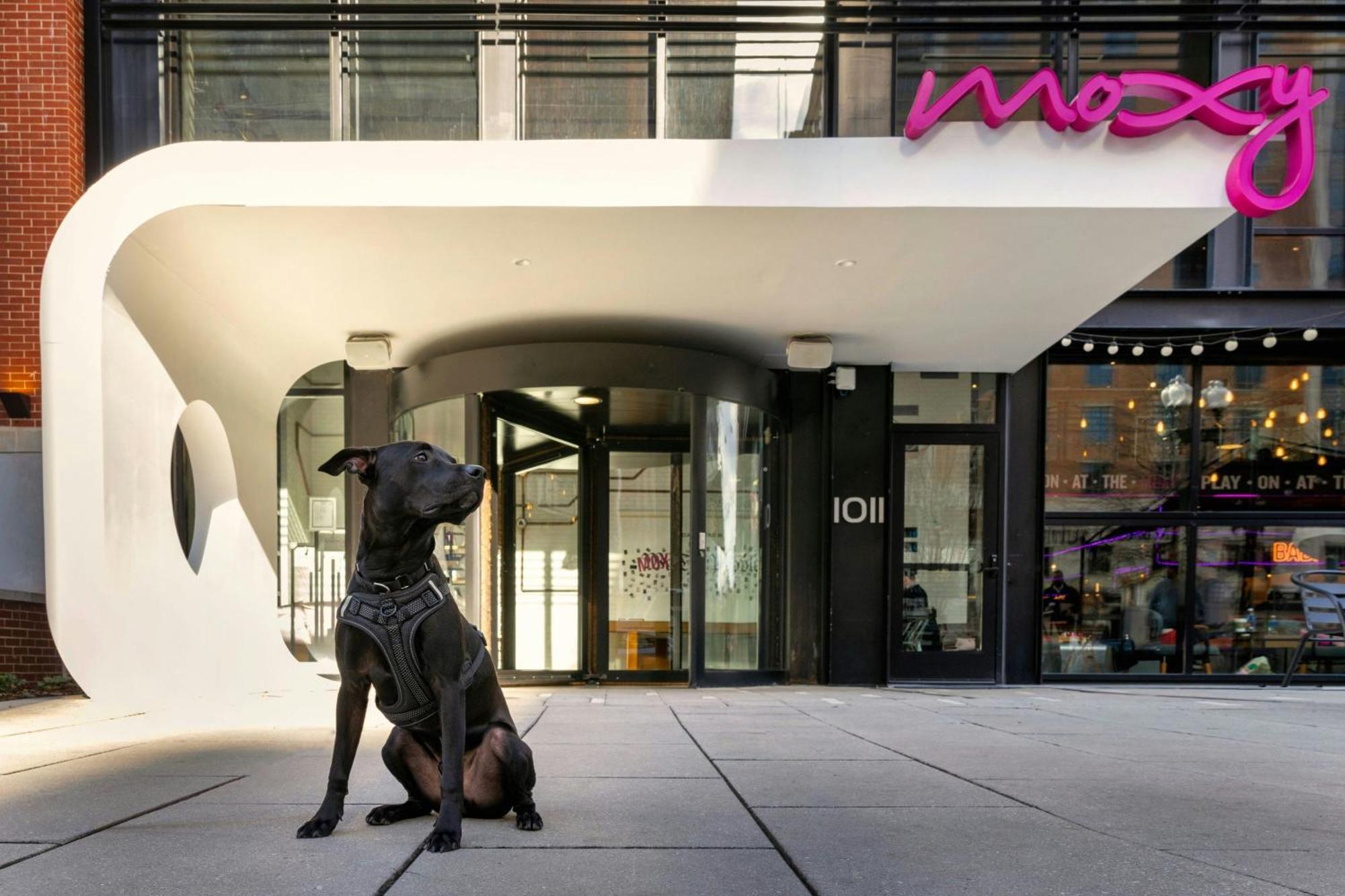 Moxy Washington, Dc Downtown Ξενοδοχείο Εξωτερικό φωτογραφία